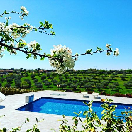 Angolo Di Paradiso Formello Ngoại thất bức ảnh