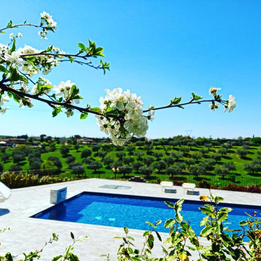Angolo Di Paradiso Formello Ngoại thất bức ảnh