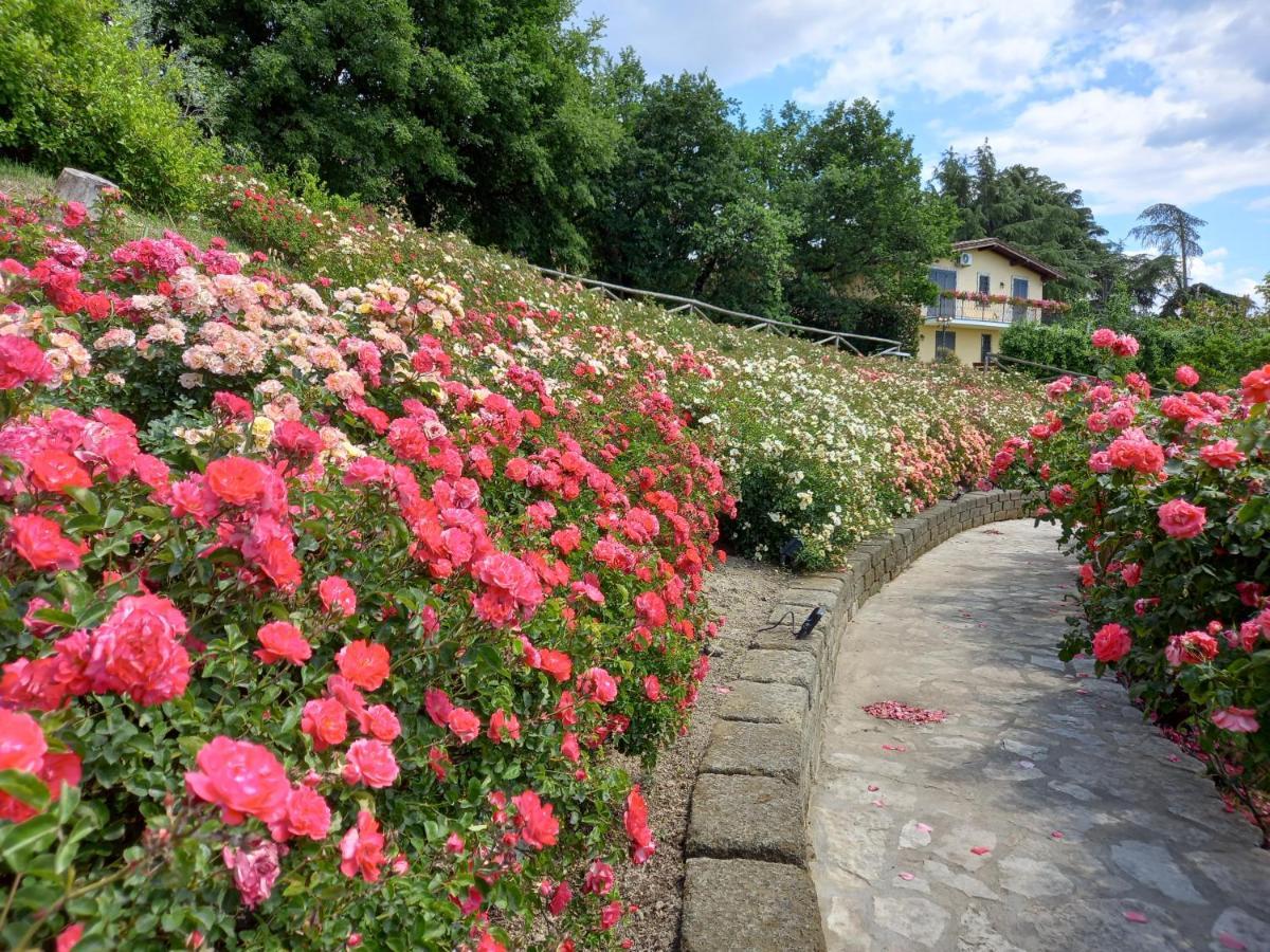 Angolo Di Paradiso Formello Ngoại thất bức ảnh