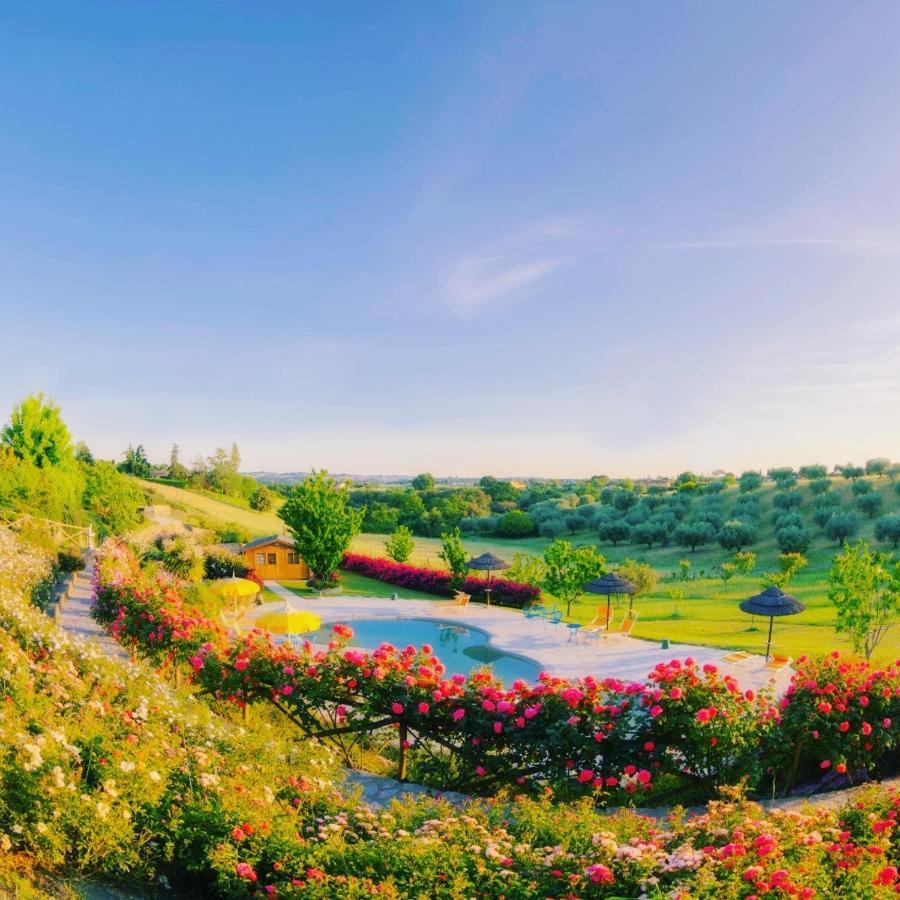 Angolo Di Paradiso Formello Ngoại thất bức ảnh
