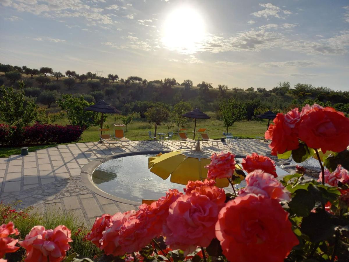 Angolo Di Paradiso Formello Ngoại thất bức ảnh