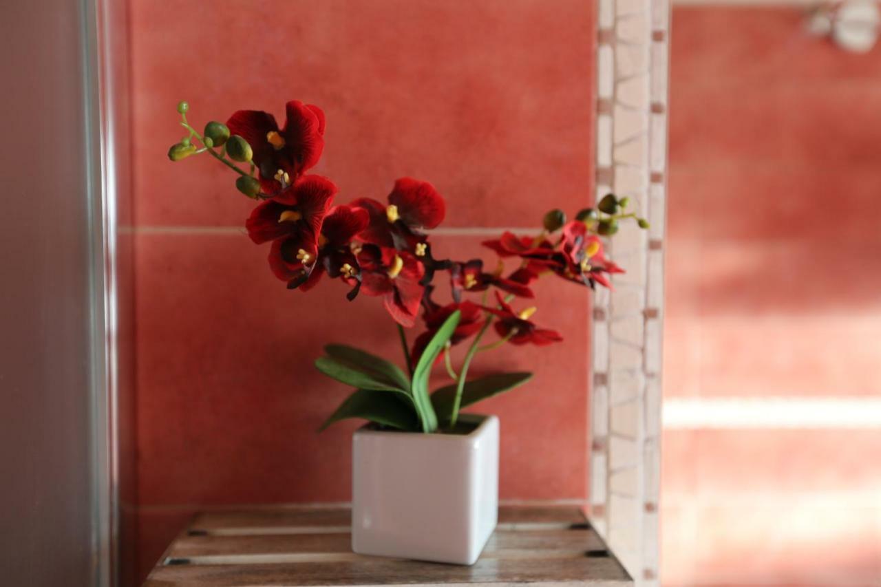 Angolo Di Paradiso Formello Ngoại thất bức ảnh