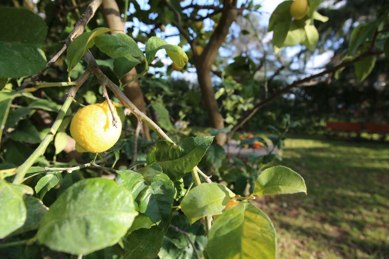 Angolo Di Paradiso Formello Ngoại thất bức ảnh
