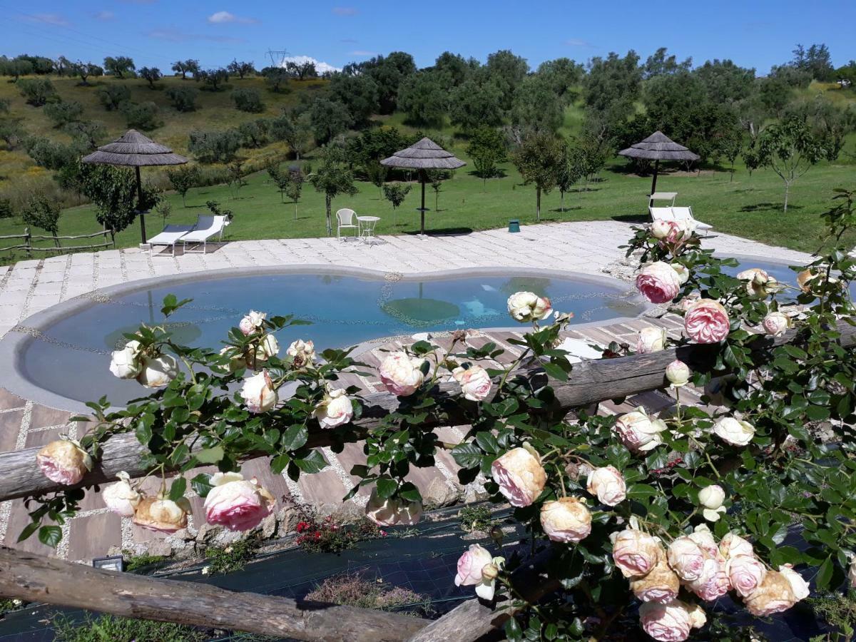 Angolo Di Paradiso Formello Ngoại thất bức ảnh