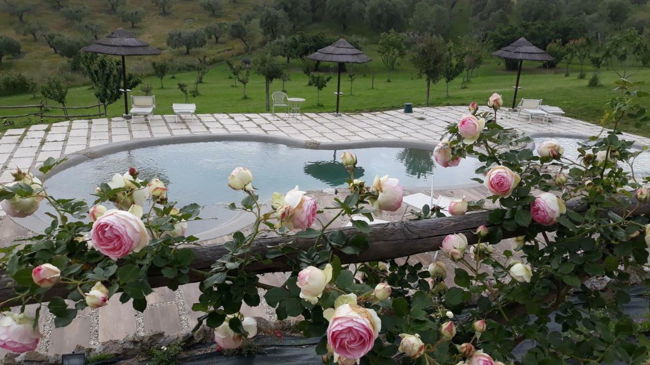 Angolo Di Paradiso Formello Ngoại thất bức ảnh